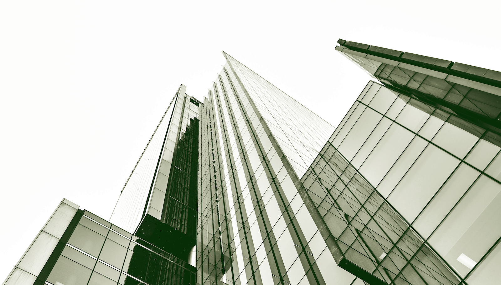 Image of tall modern glass building by Zane Lee